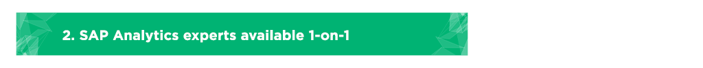 SAP Analytics experts available 1-on-1